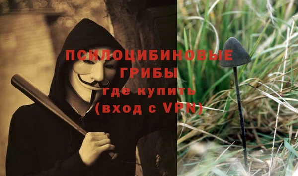 герыч Арсеньев