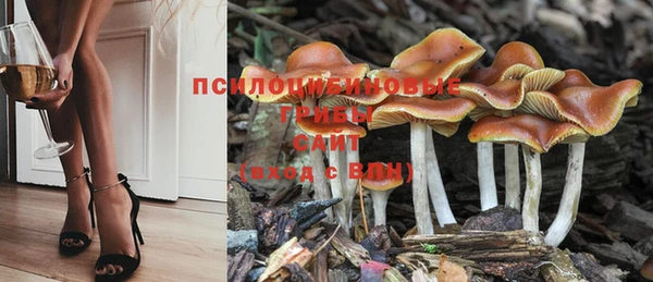 MDMA Армянск