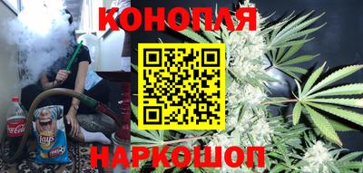 стаф Шахты