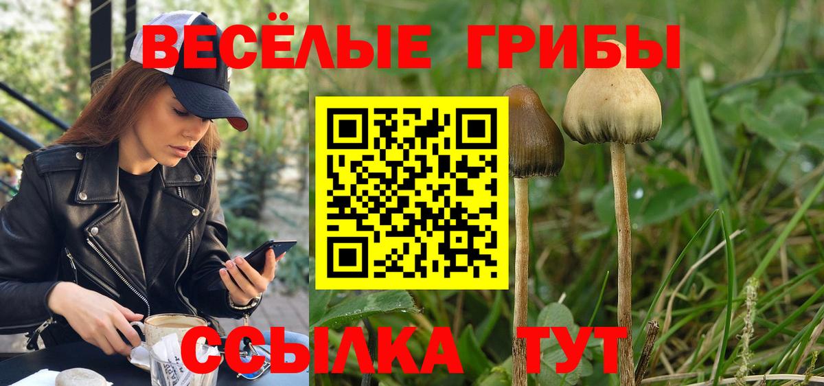 Краснотурьинск  Галлюциногенные грибы Cubensis  Вход с VPN 