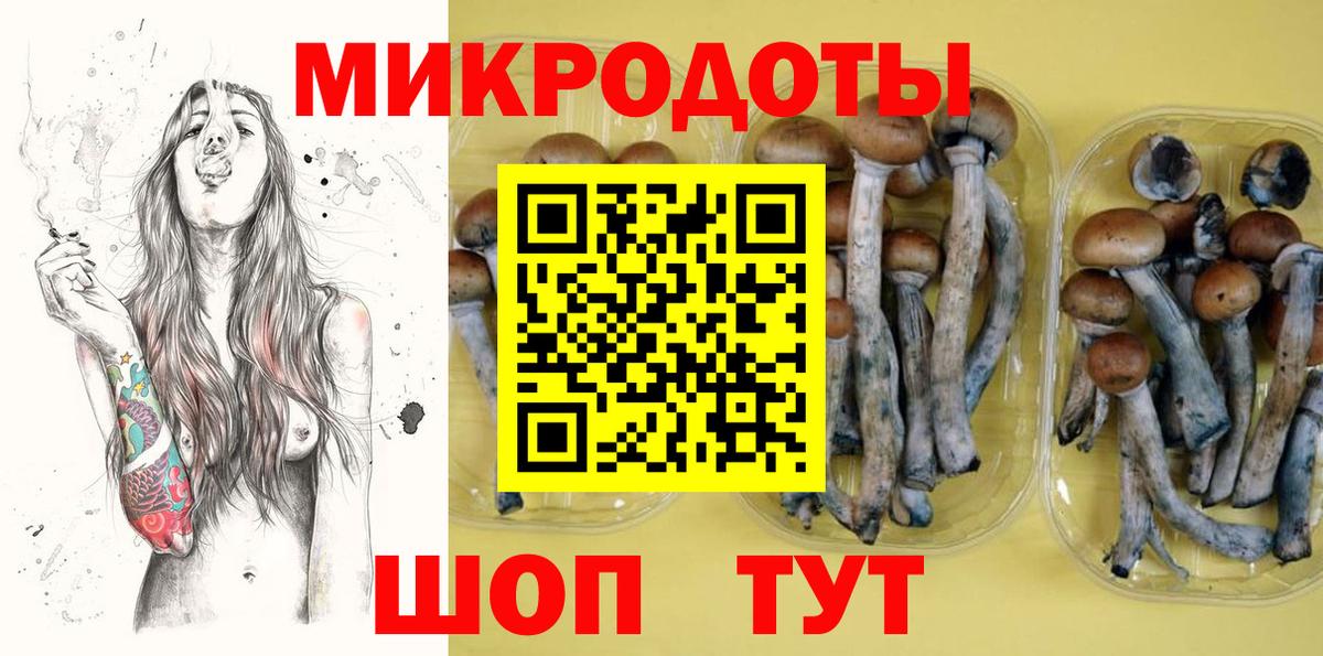 Псилоцибиновые грибы Cubensis Краснотурьинск